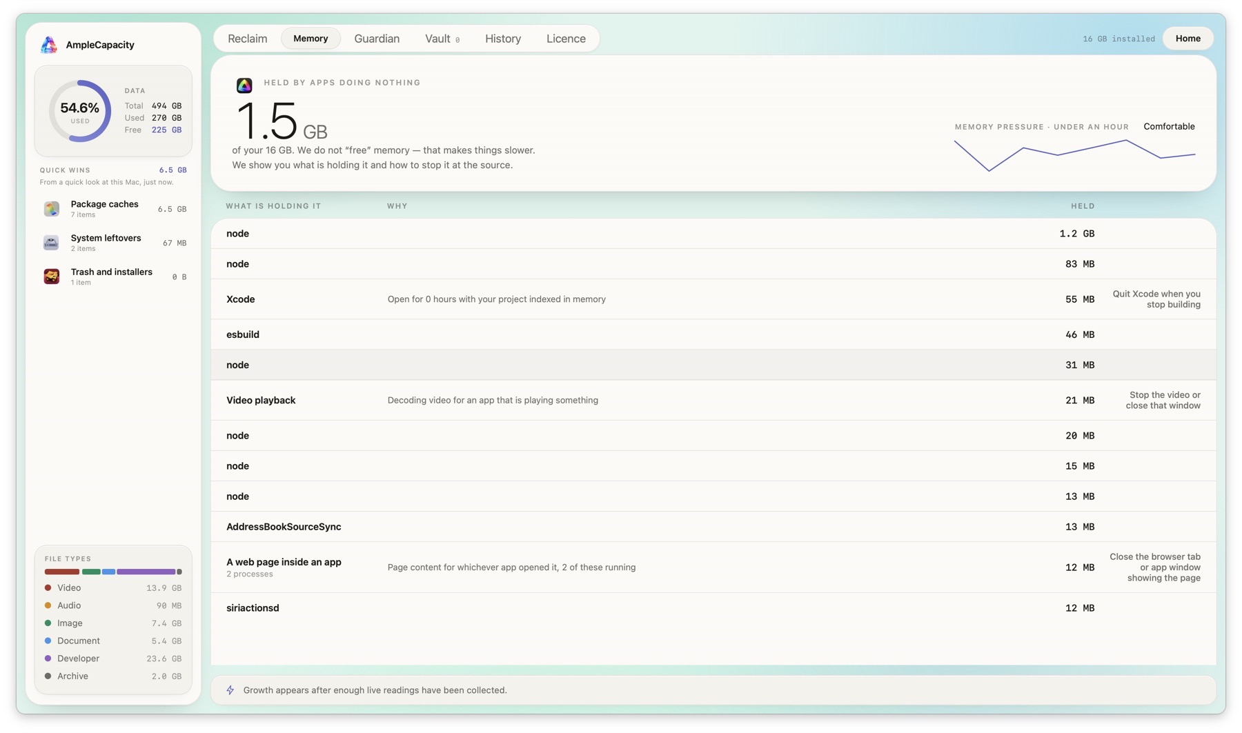 Live AmpleCapacity memory view showing which apps are holding memory